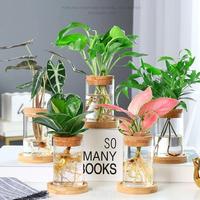 Miniatur ramah lingkungan pemandangan kaca vas bambu dalam ruangan hijau hidroponik Pot tanaman sukulen kaca Mini dekoratif