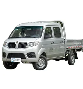 HOT SALES Made In China Cars Big Space Van shineray T30 shineray t32 shineray