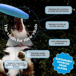 Suplemento de Aceite de Salmón Salvaje de Alaska OEM/ODM <span class=keywords><strong>para</strong></span> Perros y Gatos - Omega-3 EPA y DHA <span class=keywords><strong>para</strong></span> la Piel y el Pelaje, Control de <span class=keywords><strong>Pulgas</strong></span>, Apoyo Inmunológico, Salud Cerebral y Cardíaca - Product Image 2