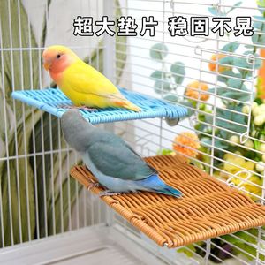 New Arrivals Plastic Acrylic Hanging <strong>Seed</strong> Cage <strong>Budgies</strong> Birds Food Automatic Parrot Feeder Macaw With Stand Accessories - Product Image 3
