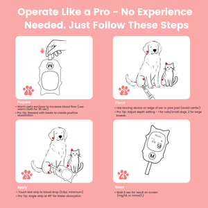 Nouveau kit technologique, lecteur de glycémie pour animaux de compagnie, réutilisable, portable, sûr, fiable, facile à utiliser, pour chats, chiens, bandelettes de <span class=keywords><strong>test</strong></span> du diabète - Product Image 5