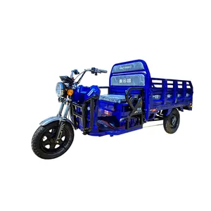 Tricycles Utilises Boys Plugs Full Passage Mudguard Toys Trucks Modular Taureau Front Dubai 3 Decorated Mini Cargo Tricycle