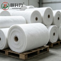 WSL Promotion Exceptionnelle : Géotextile en Fibres Courtes de Polypropylène (PP) à Prix Usine pour la Prévention des Inondations Fluviales