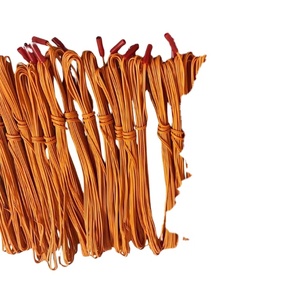 Lyson Chuyên Nghiệp <span class=keywords><strong>1.4S</strong></span> Điện E-Match igniters Cho Các Bên Chất Lượng Cao Nhựa Firework Nhẹ Hơn - Product Image 1