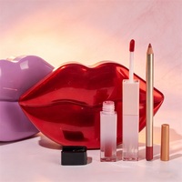 Lot de 2 gloss liquides double face waterproof et crayons à lèvres, ingrédients minéraux, marque privée personnalisée, kit de maquillage 2 pièces pour startups