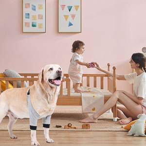 Dog <b>Knee</b> Brace Grey Front Leg Support Joint <b>Protector</b> For Dogs Medium Size - Product Image 2