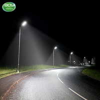 Projecteur Solaire LED Économe en Énergie IP65 d'Extérieur pour Éclairage Public, Fabrication Chinoise, avec Panneau Solaire