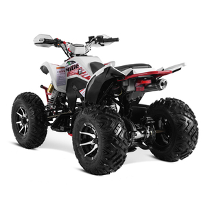 Tao Motor 2024 Nouvelle Quadricycle à transmission manuelle 250cc 4x2 ATV à transmission automatique Jantes en alliage Moto Tvs 125 Transmission par chaîne Taille adulte - Product Image 5