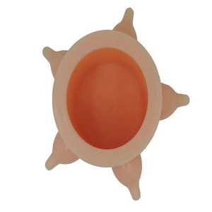 Station d'allaitement portable en silicone bionique avec 4 tétines pour chiots et chatons nouveau-nés, distributeur anti-étouffement 15 cm - Product Image 2