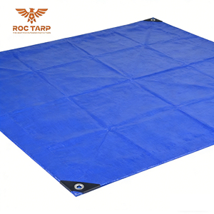 Bâche en PE à prix abordable, rouleau imperméable pour tente extérieure, camion, <span class=keywords><strong>bateau</strong></span>, bâches polyvalentes à vendre - Product Image 2
