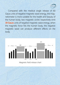 FMF Electromagnético <span class=keywords><strong>de</strong></span> alta potencia <span class=keywords><strong>Campo</strong></span> magnético Máquina <span class=keywords><strong>de</strong></span> terapia <span class=keywords><strong>de</strong></span> <span class=keywords><strong>salud</strong></span> Terapia <span class=keywords><strong>de</strong></span> regeneración Alivio del dolor Fisio - Product Image 6