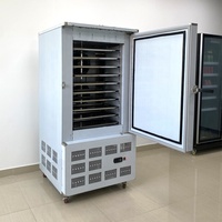 Congélateur à plaque à température négative de 45 degrés, congélateur rapide, dégivrage automatique, compatible avec compresseur TECUMSEH, acier inoxydable 304