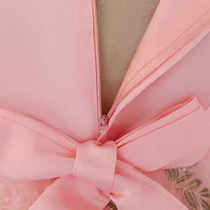 Tutu di Tulle multistrato a maniche lunghe da principessa in pizzo per ragazze vita impero cerniera nascosta abbigliamento formale da festa vestito da bambina - Product Image 5