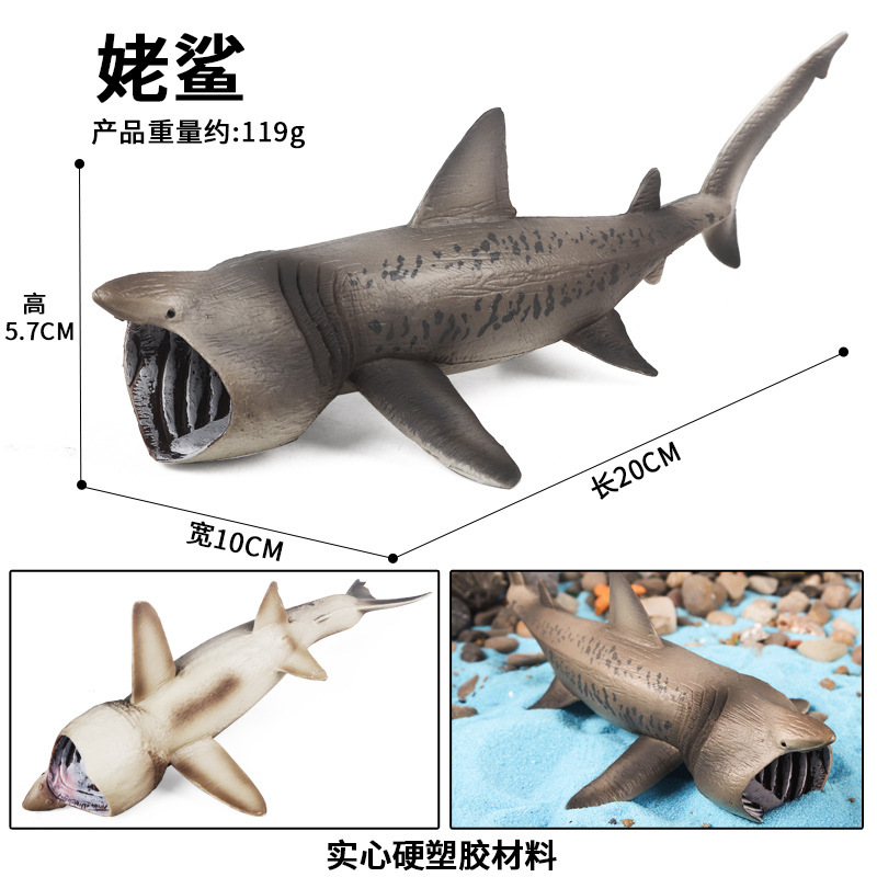 M-2815 Basking shark