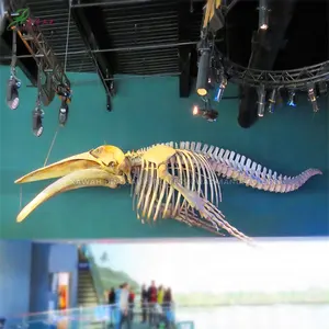 แบบจำลองโครงกระดูกสัตว์จากไฟเบอร์กลาส โครงกระดูกวาฬหลังค่อมสำหรับพิพิธภัณฑ์วิทยาศาสตร์ - Product Image 1