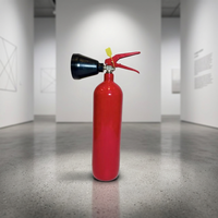 Extincteur portable au dioxyde de carbone de 3 kg, rouge, en acier épais, Extintor Co2 pour la prévention des incendies en intérieur