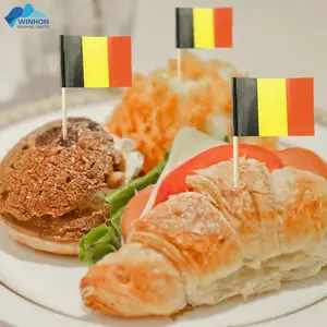 ベルギーの両面カスタム印刷バーガーフラグカップケーキトッパーカクテルペーパー国旗ベルギーのつまようじフラグパーティー用