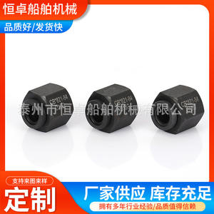 Conector Roscado de Hombro Plano Tipo D, Acero al Carbono Marino, Rosca Exterior, CB*821-84, Accesorio de Ferretería - Product Image 2