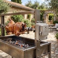 Moteur de rôtissoire BBQ SUS304