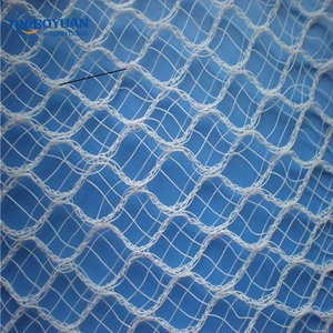 Filet anti-grêle en HDPE vierge Leno Weaving avec protection UV, tricoté pour couvertures d'arbres fruitiers (fruits du <span class=keywords><strong>dragon</strong></span>), service de découpe sur mesure - Product Image 1