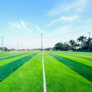 หญ้าเทียมสำหรั<span class=keywords><strong>บ</strong></span>สนามฟุตบอล AVG Free Filling สำหรับ 5 คน ความหนา 30 มม. แบ<span class=keywords><strong>บ</strong></span>เส้นโค้งงอเป็นธรรมชาติ ไม่มีทิศทาง - Product Image 2