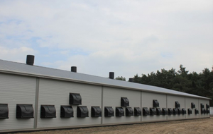 Nhà Máy Giá Tùy Chỉnh Thiết Kế Kết Cấu Thép Nhà Gà Dễ Dàng Lắp Ráp Gia Cầm Nhà Trong Kết Cấu Thép Xây Dựng - Product Image 4