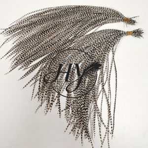 Plumas de Gallo Grizzly Naturales de Colores, Finas, de 25-30 cm, al por Mayor, para Atar Moscas, Extensiones de Cabello, Pendientes, Manualidades, Decoraciones - Product Image 6