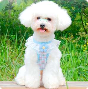 Venta al por mayor de arnés de lujo para perros arnés de chaleco ajustable para perros sin tirones collar de perro conjunto de correa logotipo personalizado diseño arnés de lujo para gatos - Product Image 3