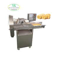 China 4.0KW RVS groente snijmachine voor fruitfabriek, inclusief after-sales ondersteuning voor voedselverwerking