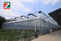 Refroidissement par brumisation pour plantes d'été, rideau de brumisation ventilé, température et humidité optimales