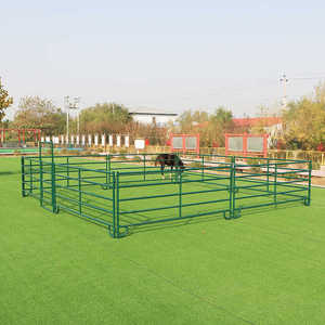Clôture galvanisée à chaud en métal pour l'élevage de moutons, chèvres et chevaux - Product Image 5
