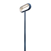 Corps en aluminium Lampadaire LED étanche pour parcs, cours et routes Extérieur Alimentation AC IP65