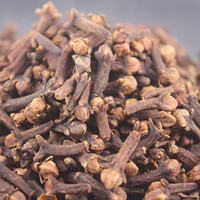 Épices de haute qualité flos caryophyllata clous de girofle biologiques/clou de girofle naturel