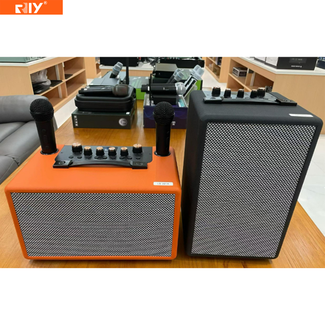 LS-201 LS-202 Popular 6.5-inch Karaoke Speaker Portable Mini Blue-tooth Speaker with Dual-handheld Microphone for Party/ Meeting