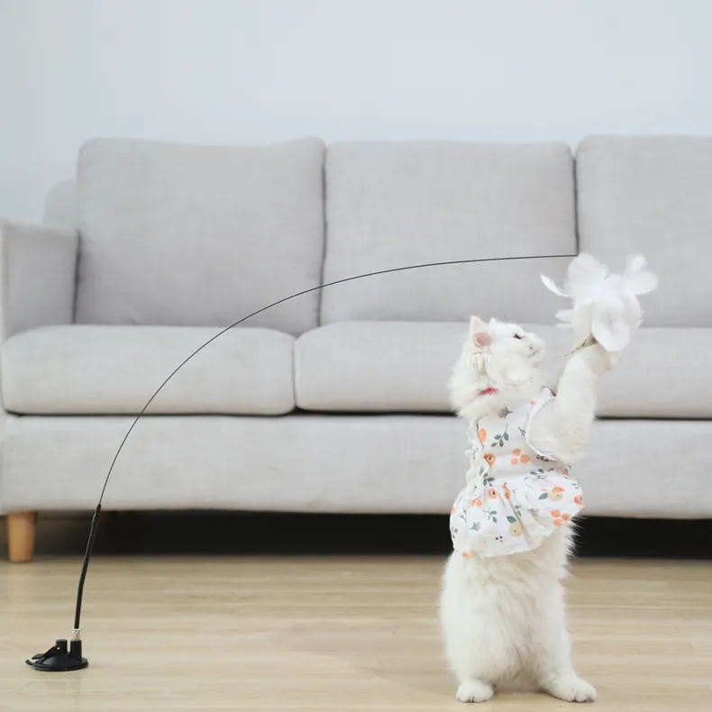 HOOPET इंटरैक्टिव अजीब बिल्ली पंख शगल खिलौने पुन: प्रयोज्य लंबे जीवन चिढ़ाने की छड़ी छड़ी