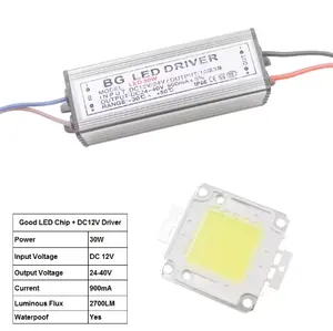 10W 20W 30W 50W हाई पावर एलईडी फ्लड लाइट COB चिप + AC / DC 12V इनपुट एलईडी फ्लडलाइट बिजली की आपूर्ति एलईडी ड्राइवर - Product Image 1