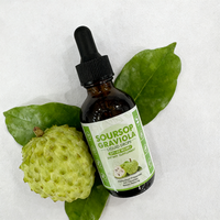 Gouttes liquides de Graviola (Corossol) – Extrait naturel de Corossol pour la santé cellulaire des adultes, le soutien hépatique et les bienfaits antioxydants – Facile à prendre