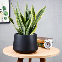 Ornamen Dekorasi Rumah Modern Desain Kreatif Pot Bunga Keramik Taman Dalam Jumlah Besar