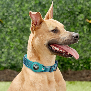 Collier pour chien personnalisable, réfléchissant, multicouche, pour Apple Airtag - Product Image 6