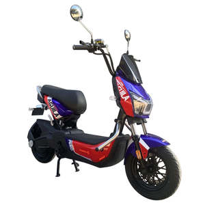 Moto électrique avec moteur de 1000W, batterie au plomb-acide intelligente 48V, type vélo électrique/cyclomoteur - Product Image 4