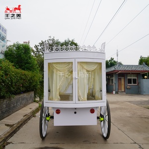 Limousines funéraires et cercueils à chevaux à vendre - Électriques, couleur personnalisable - Product Image 6