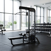 Appareil de musculation 2-en-1 pour tirage vertical et rameur, avec pile de poids, double fonction, pour entraînement du dos, équipement de fitness commercial OEM