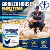 10 milliards de CFU/g Clostridium Butyricum Poudre Jaune Clair Additif Alimentaire Probiotique pour Volailles Élevage de Poulets OEM Marque Privée