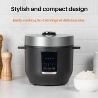 Mini Cuiseur à Riz Électrique Portable avec Poignée, Appareil de Cuisine Multifonctionnel, 2L