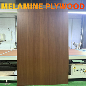 Plywood Linyi Melamine Faced Plywood Sheets <strong>Contre</strong> Plaqu&eacute; M&eacute;lamin&eacute; for Furniture Cabinets Wardrobes Shelving - Product Image 4