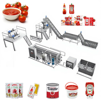 Fabrieksleverancier van automatische machines voor het maken van tomatensaus van goede kwaliteit, 1-20T/H capaciteit.