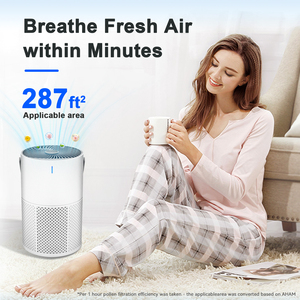 Purificateur <span class=keywords><strong>d</strong></span>'<span class=keywords><strong>air</strong></span> portable USB-C HEPA et <span class=keywords><strong>ioniseur</strong></span> avec aromathérapie, silencieux 22 dB, verrouillage enfant, pour la maison, le bureau et le bureau à domicile - Product Image 4