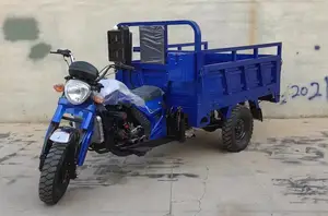 Tricycle à essence, moteur de 150cc, 200cc, 250cc, tricycle à essence