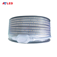 Atenuador exterior de alta calidad 220V SMD2835 120LED/M Dreamcolor Light Strings IP65 impermeable para Touch/App/Control remoto