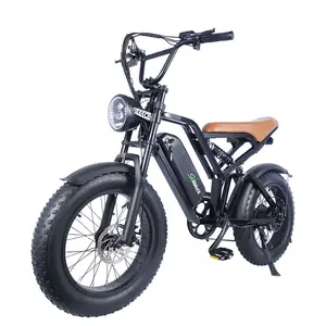 Europe Warehouse Schneller Versand Erwachsene Fat Tire Elektro fahrrad 20 Zoll Elektro fahrrad E-Bike mit 750W Motor 48V 15ah Batterie